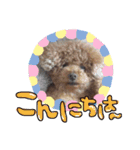 ぷりんだよー♡（個別スタンプ：11）
