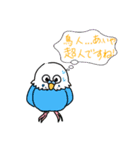 暑インコ（個別スタンプ：9）
