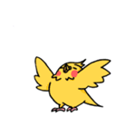 暑インコ（個別スタンプ：11）