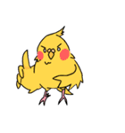 暑インコ（個別スタンプ：14）