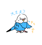 暑インコ（個別スタンプ：16）