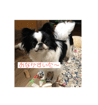 うちゃんスタンプ（個別スタンプ：2）