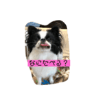 うちゃんスタンプ（個別スタンプ：3）