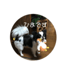 うちゃんスタンプ（個別スタンプ：4）