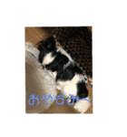 うちゃんスタンプ（個別スタンプ：7）