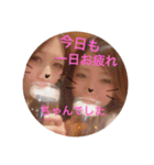 心友たーんだよ（個別スタンプ：6）