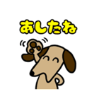 かわいいわんこの日常会話スタンプ（個別スタンプ：21）