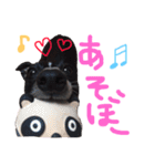 イタグレ おでのスタンプ（個別スタンプ：5）