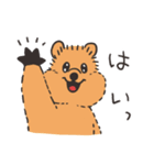 クアッカちゃんとハナグマくん <ほぼ敬語>（個別スタンプ：4）