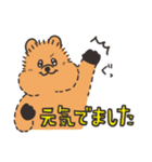 クアッカちゃんとハナグマくん <ほぼ敬語>（個別スタンプ：34）