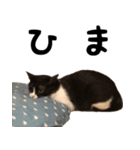 クゥとふく 9（個別スタンプ：11）