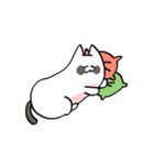 迷彩柄の猫, ミヤ（個別スタンプ：12）