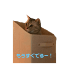 みーちゃんスタンプ  第1弾（個別スタンプ：4）