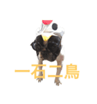 フレンチブルドッグのこりき 2（個別スタンプ：22）