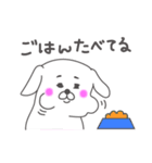 【日常使い★】マルチーズ犬 ちーこ（個別スタンプ：38）