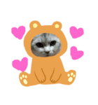 猫のここちゃん。（個別スタンプ：7）