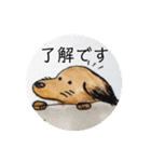 可愛い愛犬しゅうの日常スタンプ（個別スタンプ：2）