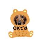 可愛い愛犬しゅうの日常スタンプ（個別スタンプ：9）