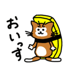 すしネコと愉快な仲間たち（個別スタンプ：1）