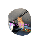 愛猫 ちくら（個別スタンプ：12）