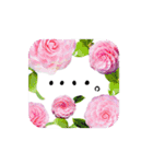 日々彩る、お花のスタンプ（個別スタンプ：8）