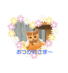 ゆめとめい（個別スタンプ：3）