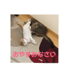 ゆめとめい（個別スタンプ：4）