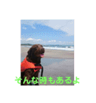 やまとの毎日（個別スタンプ：15）