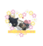 猫(ΦωΦ)敬語（個別スタンプ：6）