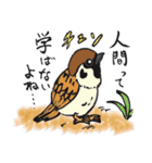 SAMURAI 斬之介（修正版）（個別スタンプ：38）