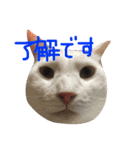 いろんな「了解」（個別スタンプ：16）
