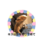 フトアゴヒゲトカゲのサマーとタイル（個別スタンプ：15）
