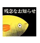 ゴールデンハニードワーフグラミー（個別スタンプ：38）