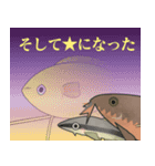 ゴールデンハニードワーフグラミー（個別スタンプ：39）