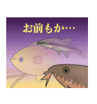 ゴールデンハニードワーフグラミー（個別スタンプ：40）