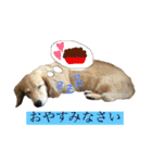 高地ココ2（個別スタンプ：3）