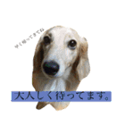 高地ココ2（個別スタンプ：9）
