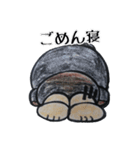 こんにちは大吉さん（個別スタンプ：27）