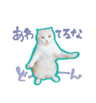 もるちゃ（個別スタンプ：9）