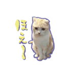 もるちゃ（個別スタンプ：10）