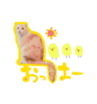 もるちゃ（個別スタンプ：13）