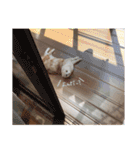 もるちゃ（個別スタンプ：18）