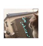 もるちゃ（個別スタンプ：19）