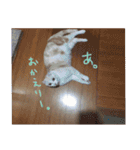 もるちゃ（個別スタンプ：21）