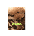 ピーチャンスタンプ（個別スタンプ：4）