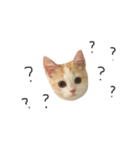 猫のめるちゃんスタンプ（個別スタンプ：1）