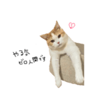 猫のめるちゃんスタンプ（個別スタンプ：6）