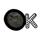 トムSta（個別スタンプ：3）