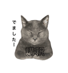 トムSta（個別スタンプ：8）