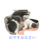 花音と花鈴（個別スタンプ：2）